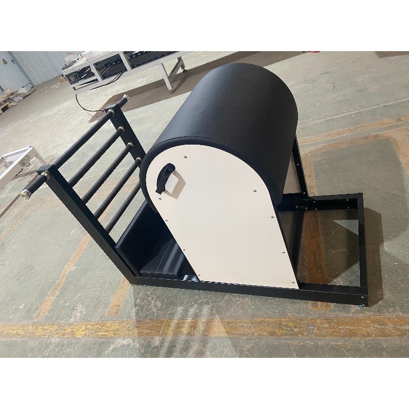 YTYIN Pilates Machine Ladder B - Pilates Yoga Core 评论和价格